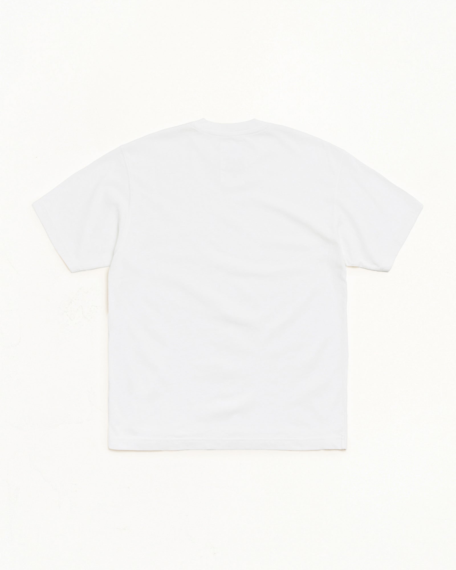 Garment Dyed SS Tee t-shirt in White, back view, midweight garment-dyed cotton.